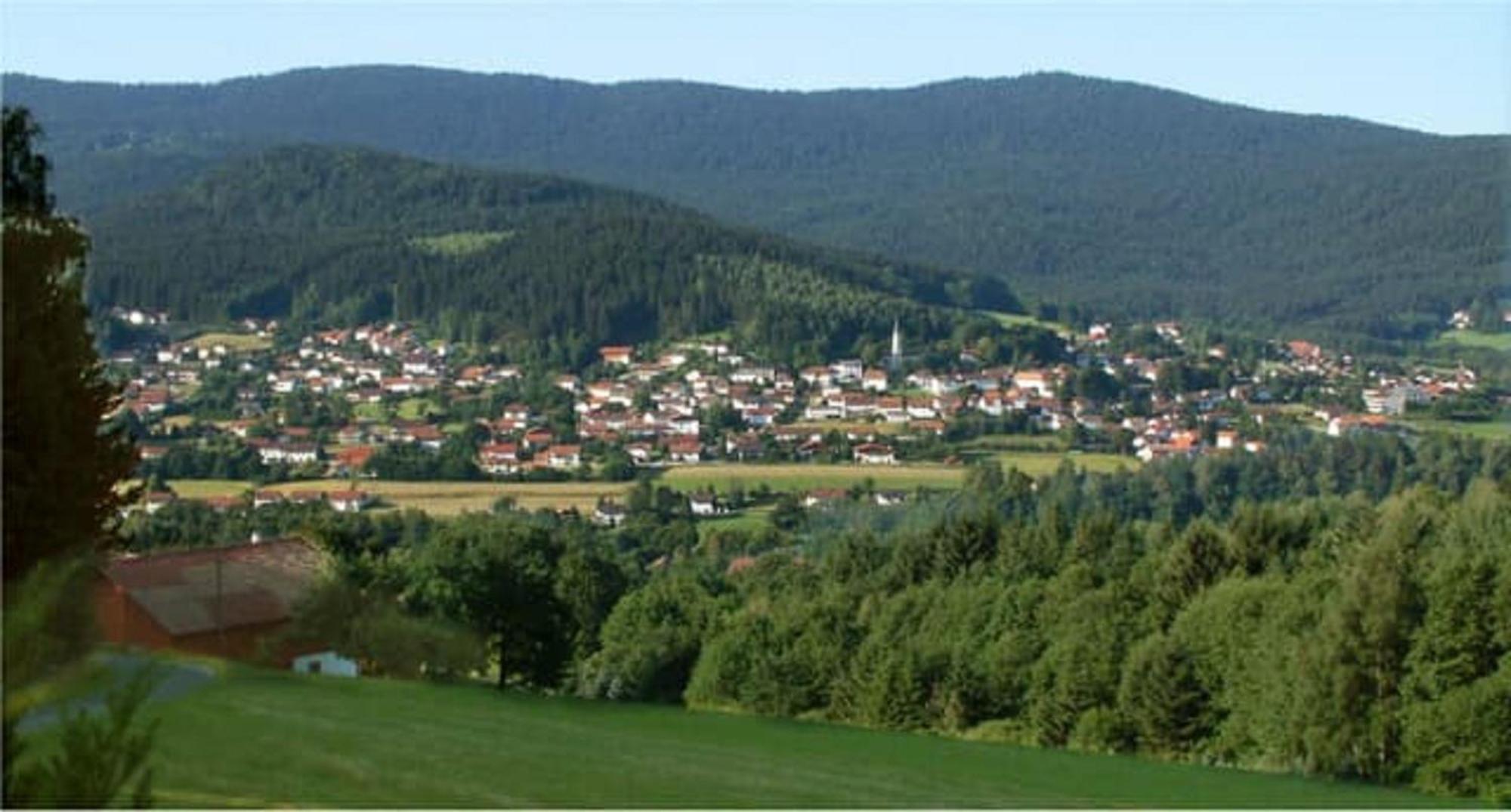 Ferienappartements-Grolik Im Aparthotel Zum Gutshof Hohenwarth Bagian luar foto